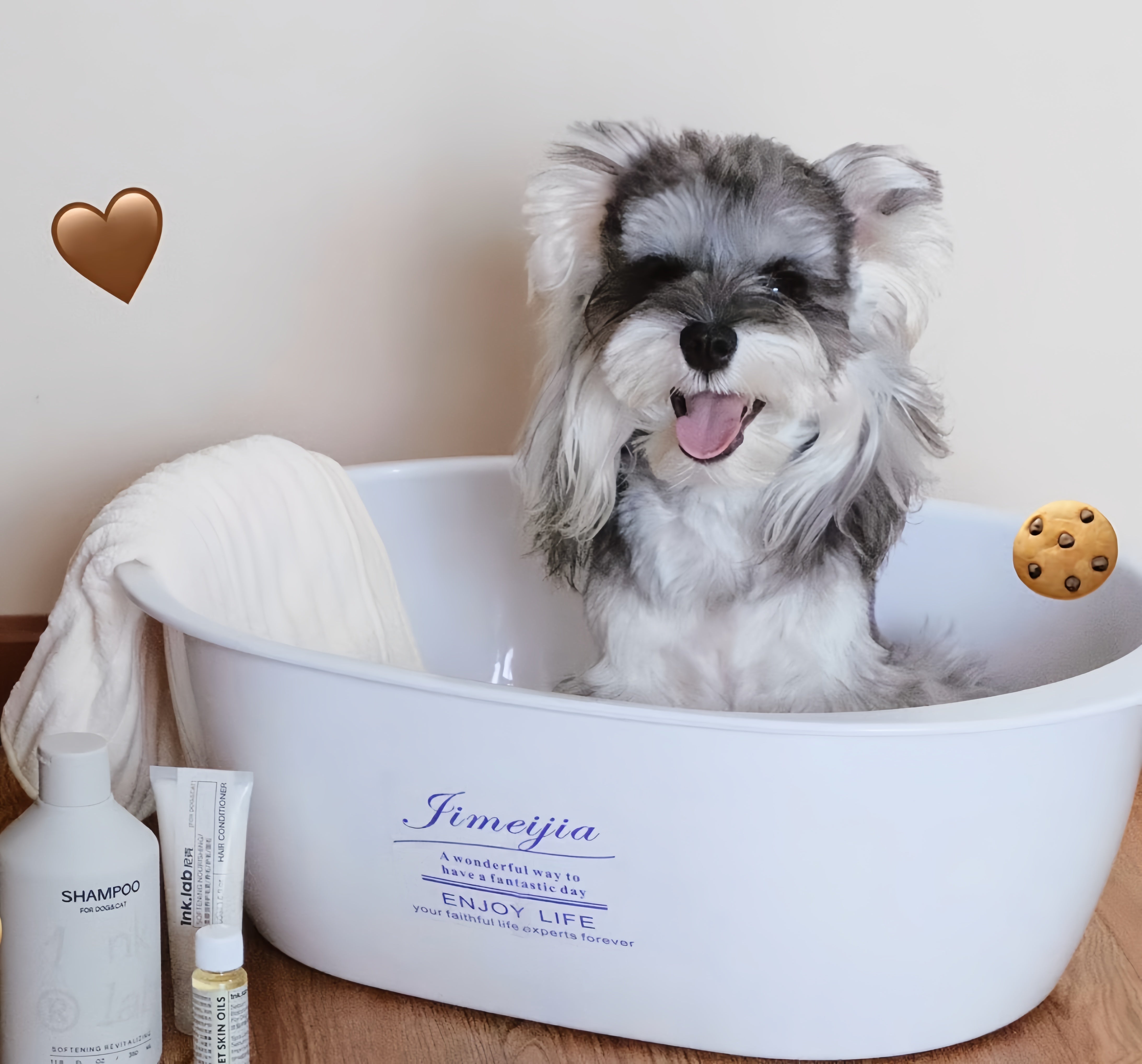 Essential Pet Hygiene & Grooming Products – Keep Your Dog and Cat Clean and Healthy